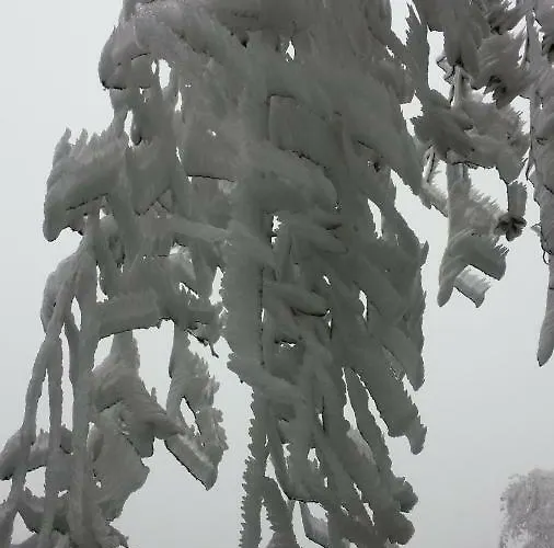 아파트 Homeaway *