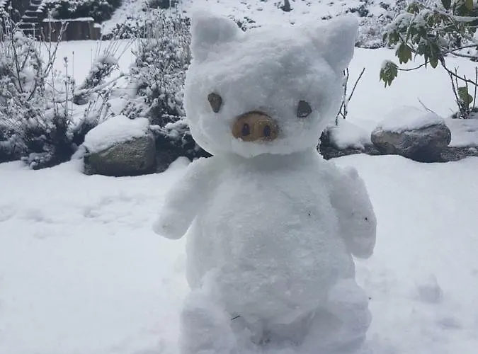 Homeaway Lejlighed *