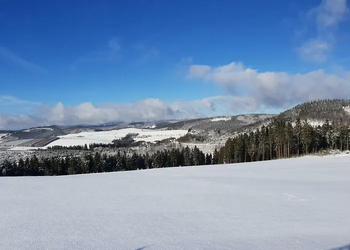 Homeaway Apartment Winterberg