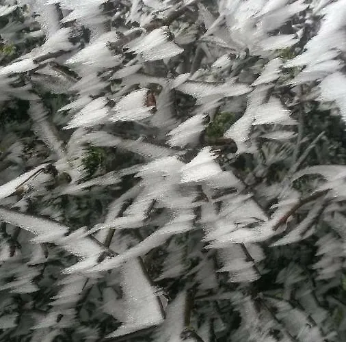 Apartment Homeaway *